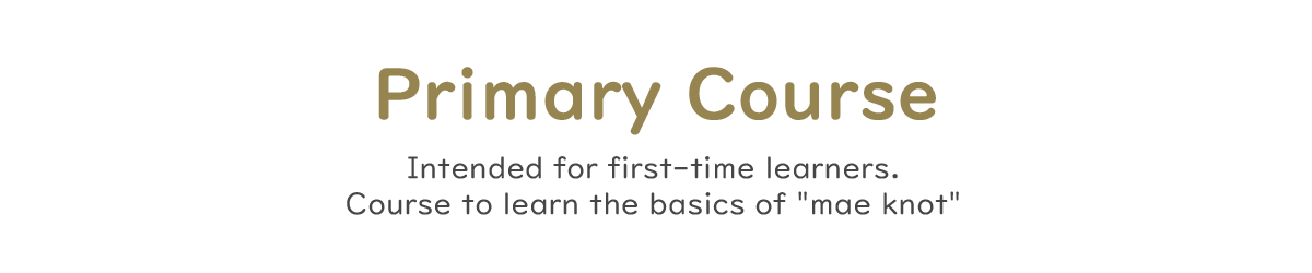 primary-course